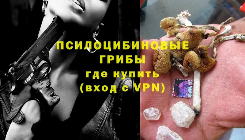 Продажа наркотиков Кузнецк Alpha PVP  Каннабис  Cocaine  МЕФ  Амфетамин  Гашиш 